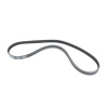 Afbeelding van Serpentine Belt