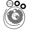 Afbeelding van Lower Unit Seal Kit