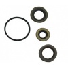 Afbeelding van Crankshaft Seal Kit