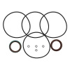 Afbeelding van Crankshaft Seal Kit