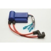 Afbeelding van CDI unit​​ voor 2 cilinders motor 40PK 1984-1996