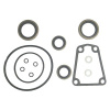 Afbeelding van Lower Unit Seal Kit