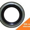 Afbeelding van Seal