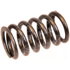 Afbeelding van Valve spring D4, D6