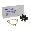 Afbeelding van Impeller Yanmar 128176-42071 1GM 1GM10 Jabsco