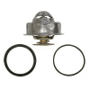 Afbeelding van Thermostat Kit