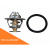 Afbeelding van Thermostat Kit