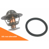 Afbeelding van Thermostat Kit