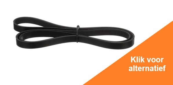Belt, Serpentine