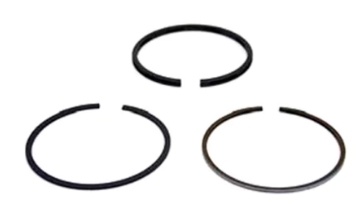 Piston ring kit B21