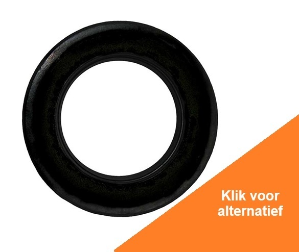 Oil Seal