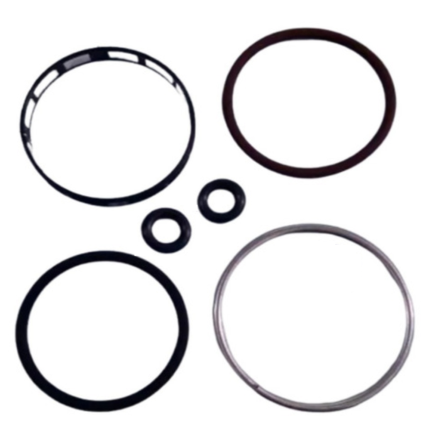 Fuel Injector Crush Ring Kit