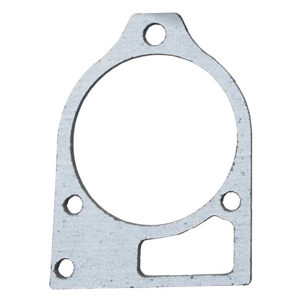 Water Pump Gasket