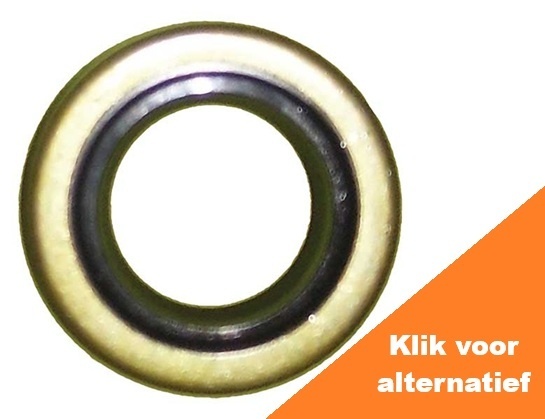 Water Pump Seal