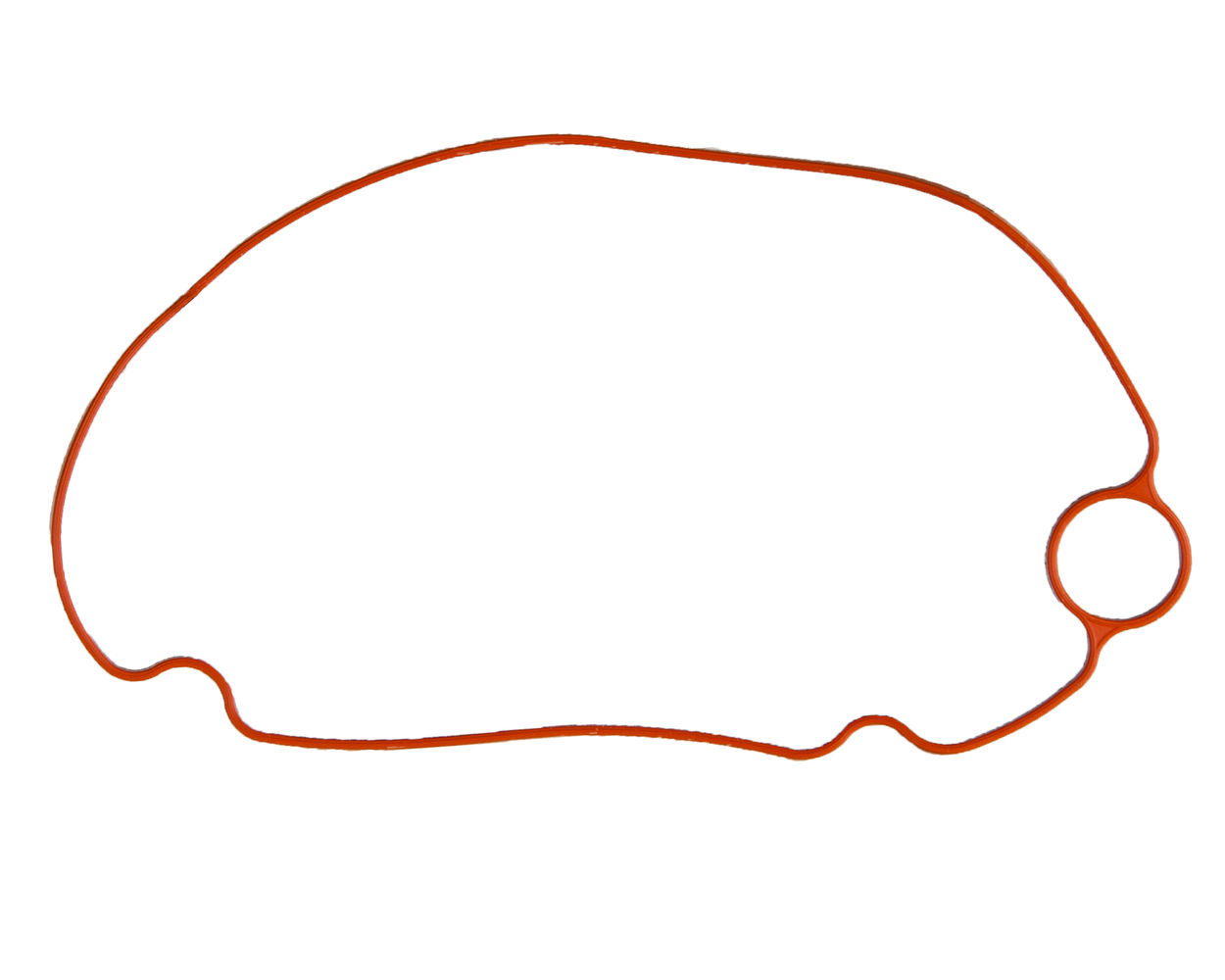 Float Chamber Gasket