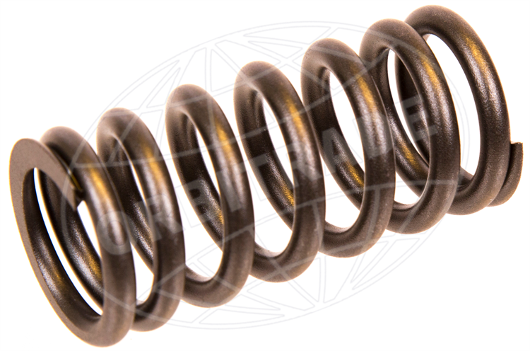 Valve spring D9, D11, D12