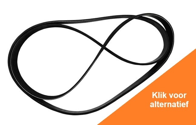 Serpentine Belt