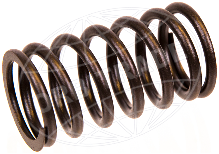 Valve spring D70-D73
