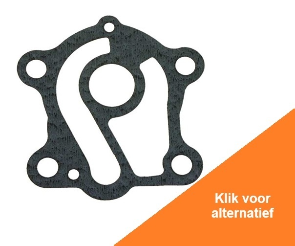 Water Pump Gasket