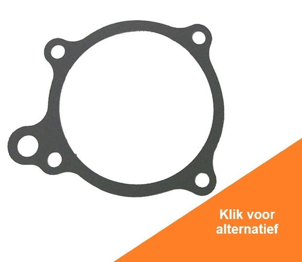 Water Pump Gasket