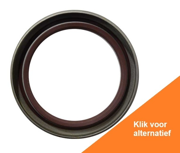 Oil Seal