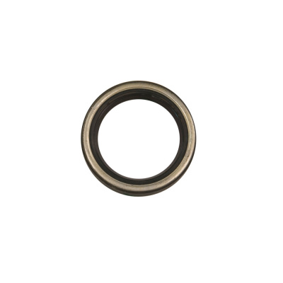 Oil Seal Foto van Oil Seal