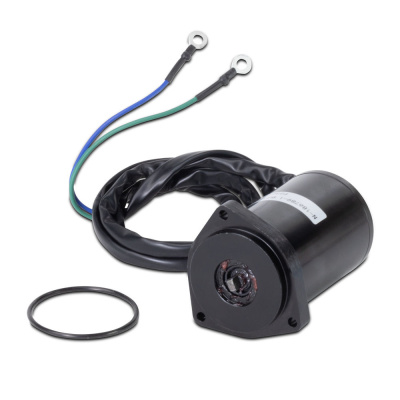 Foto van Tilt/Trim Motor, Yamaha