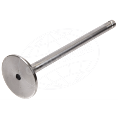 Foto van Inlet valve D44, D300