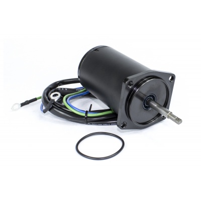 Tilt/Trim Motor Foto van Tilt/Trim Motor