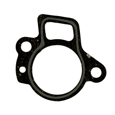 Foto van Thermostat Gasket