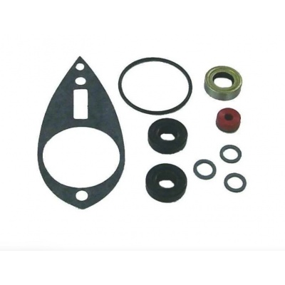 Foto van Lower Unit Seal Kit