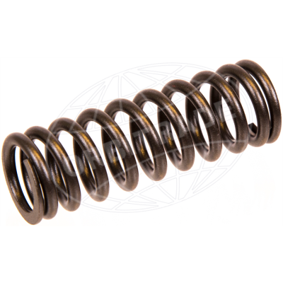 Foto van Valve spring D9, D11, D12