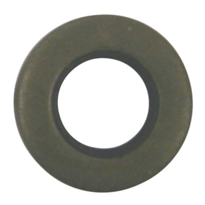 Oil Seal Foto van Oil Seal