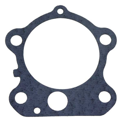 Foto van Water Pump Gasket﻿