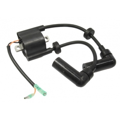 Foto van Ignition coil Yamaha F9.9 T9.9 F15 66M-85570-