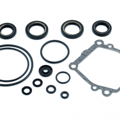 Foto van Seal Kit, Gear Housing