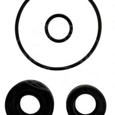 Foto van Gasket kit sea water pump D2