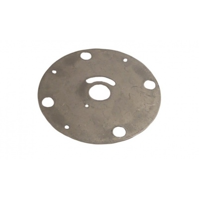 Impeller Plate Foto van Impeller Plate