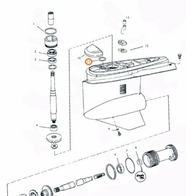 O-ring SX, DP Foto van O-ring SX, DP