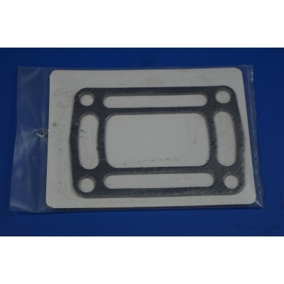 Foto van OMC Riser Gasket