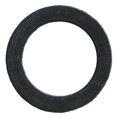 Foto van Thermostat Gasket