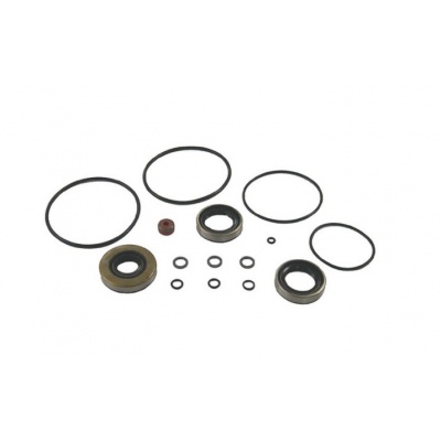 Foto van Lower Unit Seal Kit