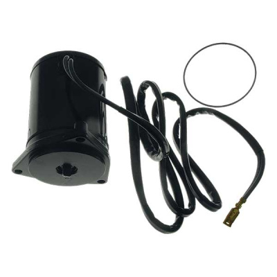 Foto van Tilt & Trim Motor