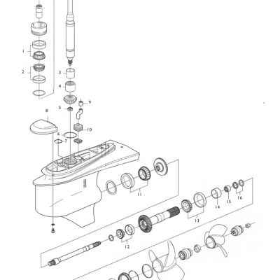 Foto van O-ring DP-S, DP-S1, DP-SM, DP-SMTD, DP-SMTD1