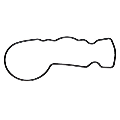 Float Chamber Gasket Foto van Float Chamber Gasket