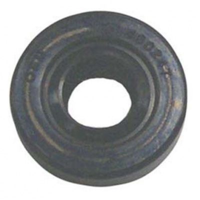 Oil Seal Foto van Oil Seal
