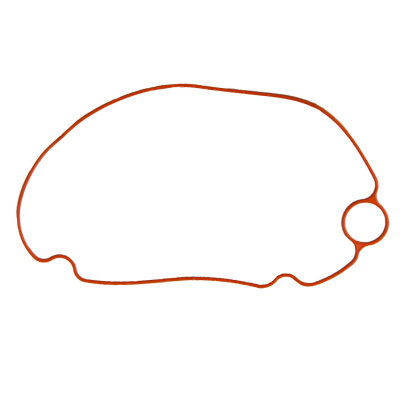 Foto van Float Chamber Gasket