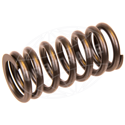 Valve spring D9, D11, D12 Foto van Valve spring D9, D11, D12