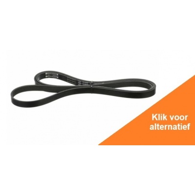 Foto van Belt, Serpentine