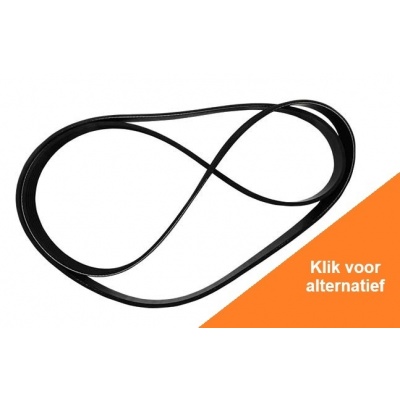 Foto van Serpentine Belt